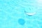 Pool cleaning chemicals background. Floating chlorine  tablet dispenser for pools lies in water