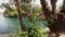 A pool of clear and clean turquoise water in the Gan Hashlosha Nature Reserve in the Valley of the Springs - Israel