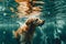 pool dog funny vacation underwater fun water swimming puppy snorkeling. Generative AI.