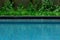 Pool edge with peaceful looking grass and nice fresh jungle greenery and vegetation near the shallow swimming pool water with