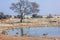 Pool of Etosha