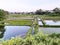 Pool of fish farming in the middle of rice fields