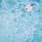 Pool float for children, ring floating in a refreshing blue pool