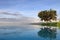 Pool at lake manyara Tanzania