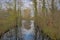 Pool with reflections of trees in a winter forest in the Flemish countryside