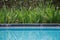 Pool side plants view at luxury hotel with nice green plants alongside the shallow blue water. Pool side reflections of the greene