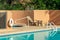 Pool side view with orange stucco wall and metal hand rails with water and white cement with saftey float in midday sun