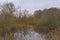 Pool with silhouettes of bare trees reflecting in the water in the Flemish countryside