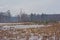 Pool in a snow covered heath landscape with forest on a hazy winter day