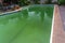 The pool turned green overnight in a backyard