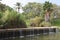 A pool and waterfall flowing in the green and fresh environment of edith wolfson park located in tel aviv israel