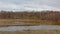 Pool, wetland fields and birch forest on Pakri Peninsula, Paldiski, Estonia