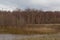 Pool, wetland fields and birch forest on Pakri Peninsula, Paldiski, Estonia