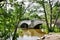 Pooley Bridge and the River Eamont