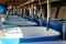 Pools for breeding sturgeon fish on fish farm