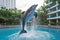 Poolside performance showcases agile dolphin\\\'s gravity-defying leaps