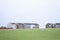 Poor council houses on cliff horizon in seaside town by coast