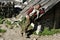 A poor farmer leaned against the roof of the shed