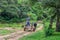 A poor farmer with ox cart in the Paraguayan jungle.