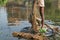 A poor fisherman in a village in West Bengal, India, is fishing with nets from the pond