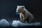 A Poor Little White Bear Cub Sits On A Block Of Ice Floating On The Water. Generative AI