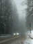 Poor road visibility condition in forest