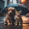 Poor sad hungry dirty homeless puppy and kitten sit in the street under umbrella in the rain. Heartbreaking image of a hopeless