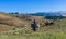 Poor Shepherd grazing the goats in the Green Valley of Simien Mountains