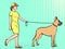 Pop art background. A woman with a sports dress, walks a pet on a leash. Great Dane breed of domestic dog. Vintage