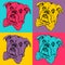 Pop art seamless pattern. Portrait of dog Bulldog.