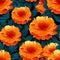 Pop Art Style Orange Flowers On Black Backgrounds