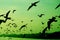 Pop art surreal style green colored morning sky with silhouette of flock of flying seagulls