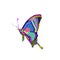 Pop art or wpap butterfly on white background