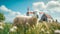 Pop-culture-inspired Image Of A White Sheep In A Grassy Field With An Old Church