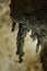 Popcorn formations in the Big Room, Carlsbad Caverns National Park, New Mexico, United States of America