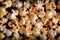 Popcorn Galore Crispy and Crunchy Popcorn Background