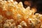 Popcorn kernel macro shot showcasing the