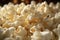 Popcorn kernel macro shot showcasing the