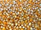 Popcorn Kernels, Yellow, Natural, Organic, Background