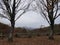 Popcorn Overlook mountain view