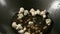 Popcorn popping in hot oil