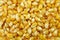Popcorn Seed Background