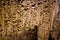 Popcorn & Stalactites In Carlsbad Caverns