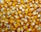 Popcorn texture background