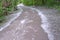 The poplar fluff covers the path of the park. Summer