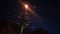 poplar fluff flies at night near a lamppost