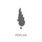 Poplar icon. Trendy Poplar logo concept on white background from
