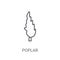 Poplar icon. Trendy Poplar logo concept on white background from