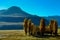 Poplar Trees - Patagonia