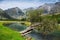 Poplar, turquoise river and mountains